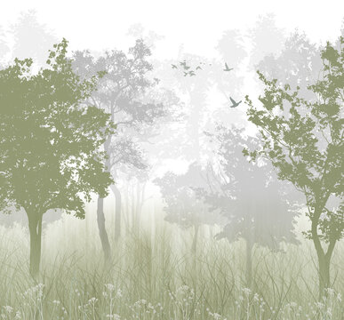 Wallpaper. Green forest with birds. White background