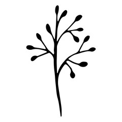 Cover Highlight Icon