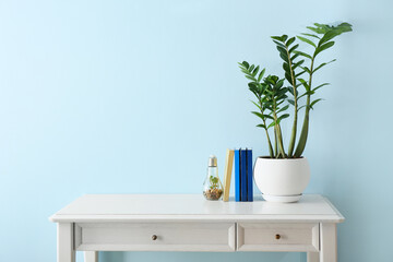 Books, houseplant and decor on table near color wall