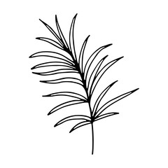 Art foliage natural leaves herbs in line style