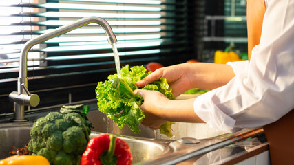 Woman hands washing Vegetables for Preparation of vegan salad on the worktop near to sink in a modern kitchen, Homemade healthy food concept.
