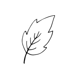 grunge leaf isolated on white