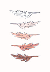 Simple vector flat illustration with feathers with contour lines on white background