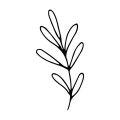 floral flower hand drawn doodle icon for social media story. Cute single hand drawn herbal element