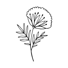 Floral sketch. floral flower hand drawn doodle icon for social media story. Cute single hand drawn herbal element