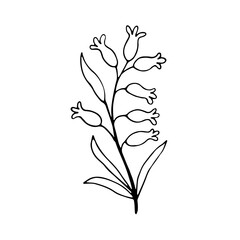 Floral hand drawn doodle icon for social media story