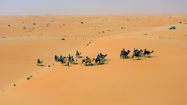 Aerial view around a cavalcade of camels, a Arabian desert safari, group of Bedouin riding on a wasteland, sunny day, in Saudi Arabia - orbit, drone shot