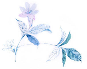 Watercolor illustration of flowers and leaves.Manual composition.Design for cover, fabric, textile, wrapping paper .