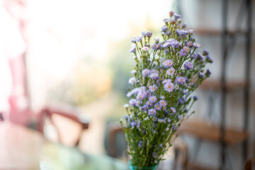 A bunch of purple flowers