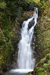 Naklejka premium 髭僧の滝