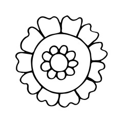 Cover Highlight Icon. Trendy abstract organic and graphic element. Hand drawn wedding herb, plant