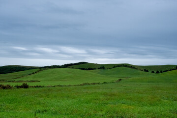 Obraz premium View of cloudy meadow in Hokkaido