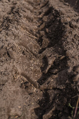 A field with a trail from a tractor and sown grain.