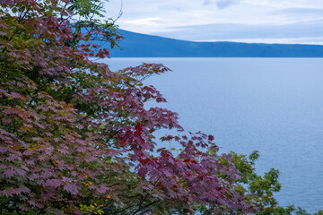 Fall foliage by a lake