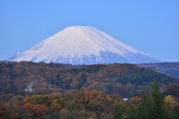 Fototapeta premium 紅葉の先の富士山