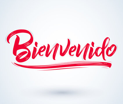 Bienvenido, Welcome spanish text - lettering vector illustration.