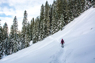 Winter sport activity. Adventurous woman snowshoeing through the forest in deep snow.