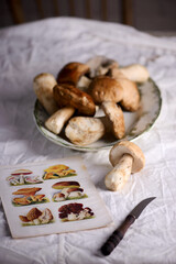 Wild porcini  forest mushrooms. style rustic.