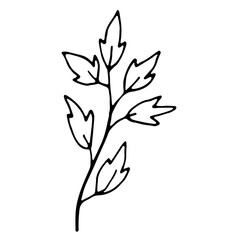 hand drawn Single leaf for wedding decor