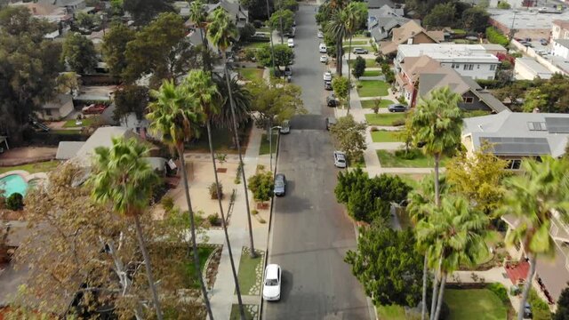 Aerial flyover street in Los Angeles neighborhood between palm trees looking down on street with cars and houses, sunny afternoon, California