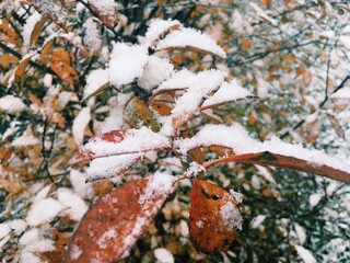 Processed with VSCO with c1 preset