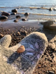 Sea shell on the mitten, winter sea background