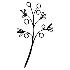 Hand drawn plant