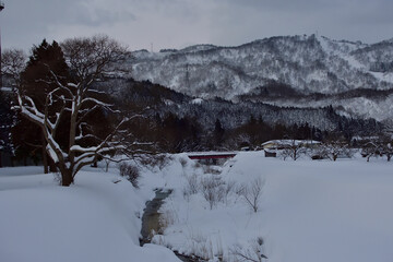 積雪した川と水田