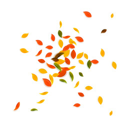 Falling autumn leaves. Red, yellow, green, brown c