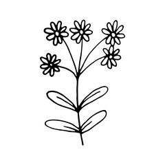 Floral Doodle icon for social media story. Hand drawn doodle chamomile