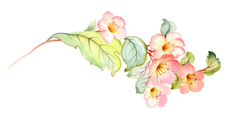 Flowers watercolor illustration. Manual composition.Design for cover, fabric, textile, wrapping paper .