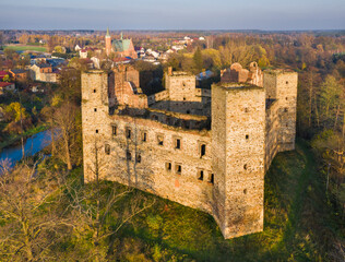Bishop's castle in Drzewica, Poland © Dejan Gospodarek