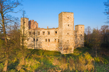 Bishop's castle in Drzewica, Poland © Dejan Gospodarek