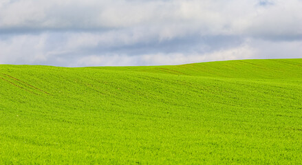 Green grass field on hills and blue sky with clouds in the countryside. Natural landscape