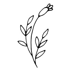 Floral hand drawn doodle icon for social media story