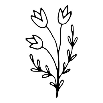 recommend clip art: floral flower hand drawn doodle icon for social media story