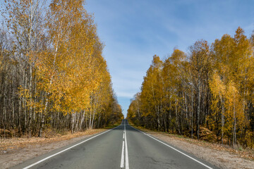 Naklejka premium Golden, autumn, October, day, sky, clouds, nature, walk, ride, journey, forest, trees, yellow, foliage, withered, grass, road, highway, roadside, distance, space, horizon, light, shadow, bright, color