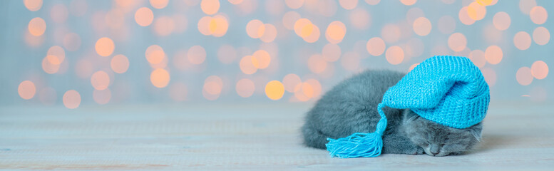 Little fluffy kitten sleeping on the wooden floor against the background of Christmas lights in a blue cap. Stretched panoramic image for banner