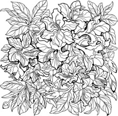 Fototapeta premium Azalea flowers line art drawing.Coloring page for adult and older children