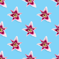 seamless pattern of Lily flower bloom. Lily flowers over blue background seamless texture. flat lay flower pattern