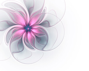 Fractal lilac pink flower on white background