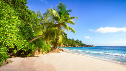 Obraz na płótnie Canvas tropical beach.White sand,palm,turquoise water and rocks in paradise, seychelles 3