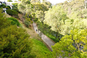 Man jogging in a peaceful park.