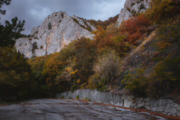 Fototapeta na wymiar Landscape with beautiful empty mountain road , high rocks, trees and cloudy sky.