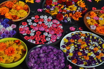 Multicolored flower mandala on floating on water plate made of fresh flowers. Floral background with nature flowers. Flower mosaic