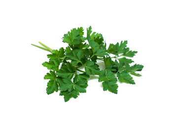 Parsley isolated on white background