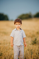 Naklejka na ściany i meble Emotional little adorable boy playing in the field in the warm rays of the setting sun in the summer.