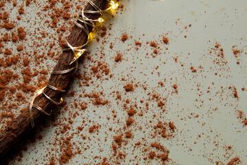 A composition with licorice sticks rolled up in some fairy lights, and cinnamon powder