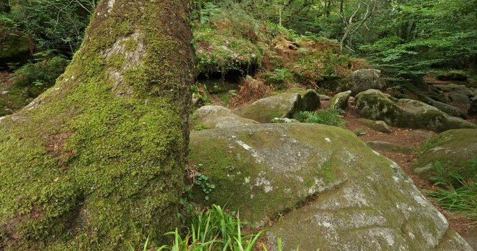 Roches du Diable, Querrien, Finistere department, Brittany, France