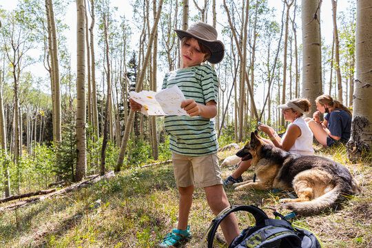 7 year old boy holding treasure map in forest of Aspen trees 